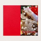 フクロウ・クリスマス (外部フラット)