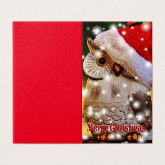 フクロウ・クリスマス (外部フラット)