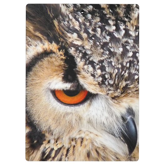 フクロウ クリップボード (裏面)