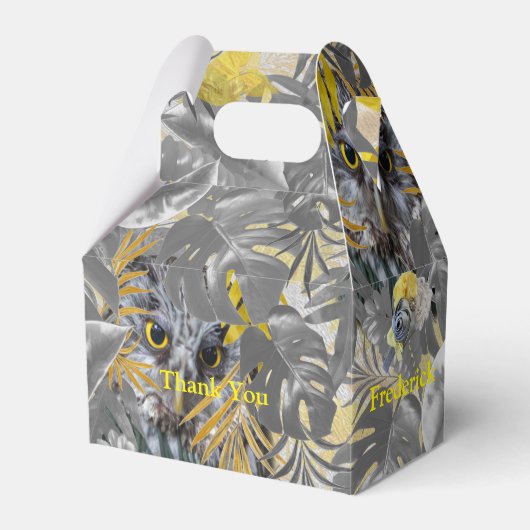 フクロウ – グレー葉/黄色2021色の植物の フェイバーボックス (正面サイド)