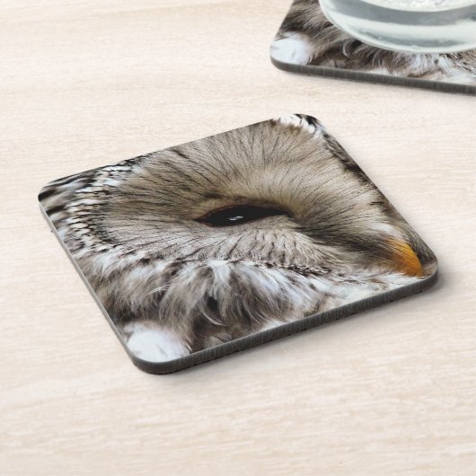 フクロウ コースター (左側)