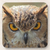 フクロウ コースター (正面)