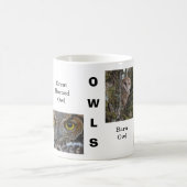 フクロウ コーヒーマグカップ (中央)