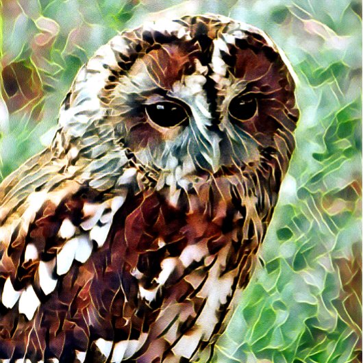 フクロウ ゴルフボール