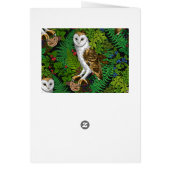 フクロウ、シダ、オーク、ベリー (裏面)