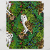 フクロウ、シダ、オーク、ベリー (正面/裏面)