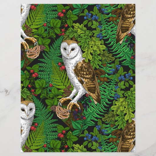 フクロウ、シダ、オーク、ベリー (正面)