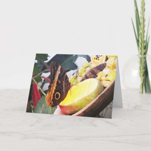 フクロウ シーズンカード (正面)