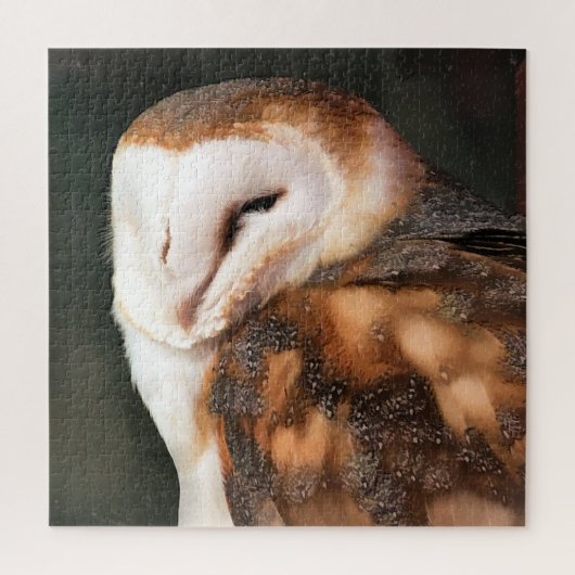 フクロウ ジグソーパズル (縦)