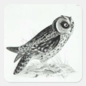 フクロウ スクエアシール (正面)