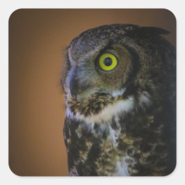 フクロウ スクエアシール