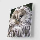 フクロウ スクエア壁時計 (傾斜)