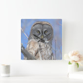 フクロウ スクエア壁時計 (ホーム)