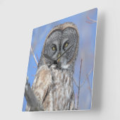 フクロウ スクエア壁時計 (傾斜)