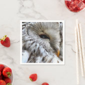 フクロウ スタンダードカクテルナプキン (インサイチュ)