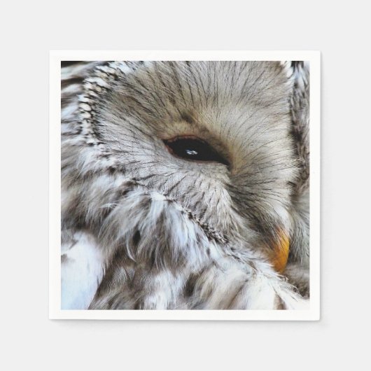 フクロウ スタンダードカクテルナプキン (正面)