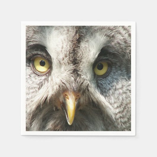フクロウ スタンダードカクテルナプキン (正面)
