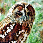 フクロウ スタンダードカクテルナプキン