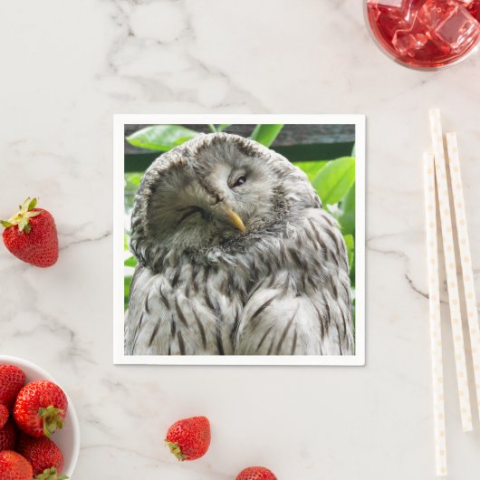 フクロウ スタンダードカクテルナプキン (インサイチュ)