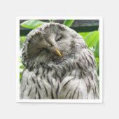 フクロウ スタンダードカクテルナプキン (正面)