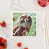 フクロウ スタンダードカクテルナプキン (インサイチュ)