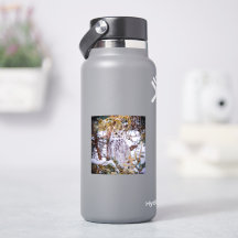 フクロウ ステッカー