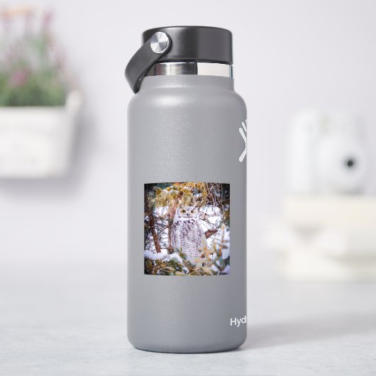 フクロウ ステッカー シール (HydroFlask)