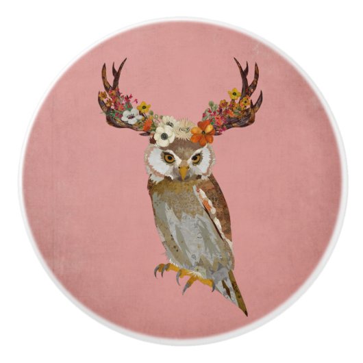 フクロウ セラミックノブ (正面)