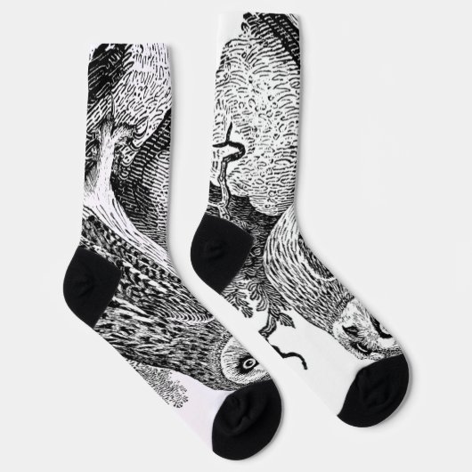 フクロウ ソックス (右)