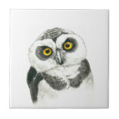 フクロウ タイル (正面)