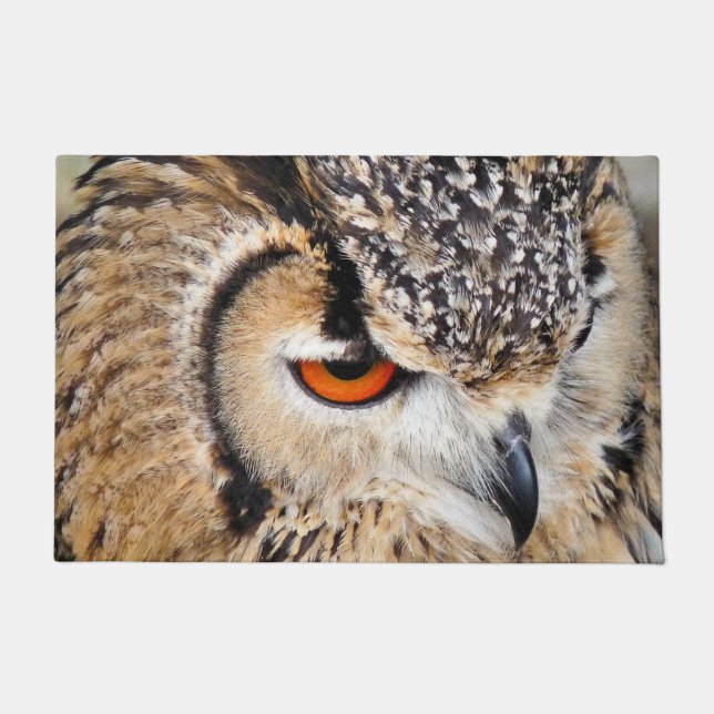 フクロウ ドアマット (正面)