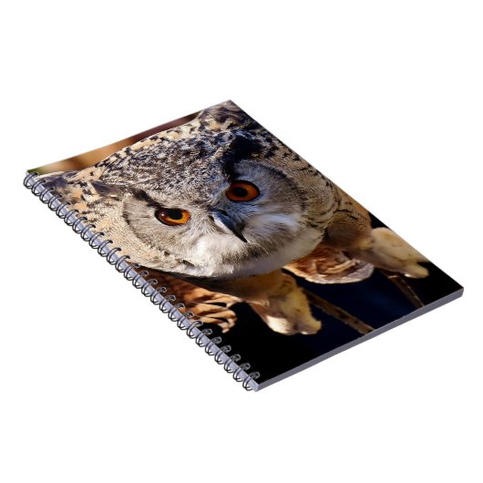 フクロウ ノートブック (右側)