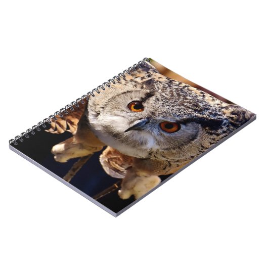 フクロウ ノートブック (左側)