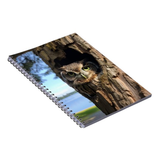 フクロウ ノートブック (右側)