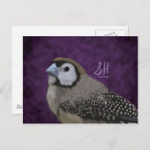 フクロウ・フィンチ ポストカード (正面/裏面)