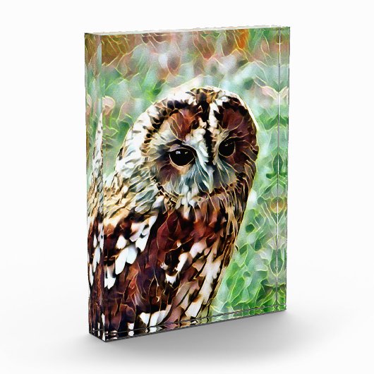 フクロウ フォトブロック (左)