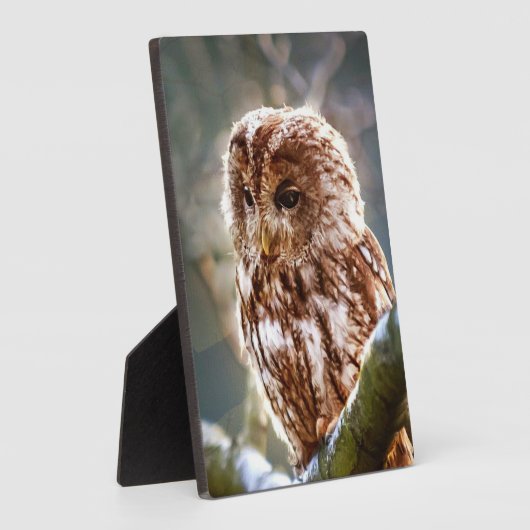 フクロウ フォトプラーク (側面)
