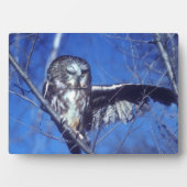 フクロウ フォトプラーク (正面)