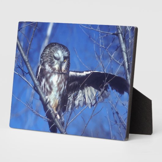 フクロウ フォトプラーク (側面)