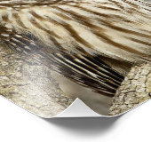 フクロウ フォトプリント            (角)