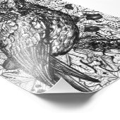 フクロウ フォトプリント            (角)