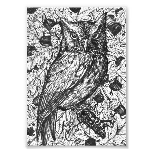 フクロウ フォトプリント            (正面)