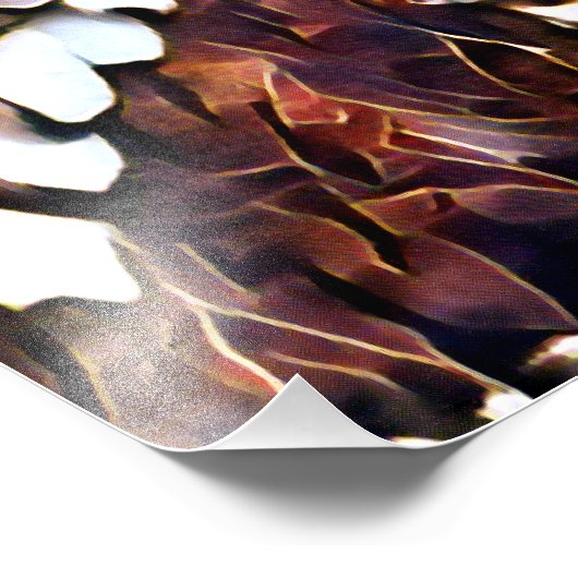 フクロウ フォトプリント            (角)