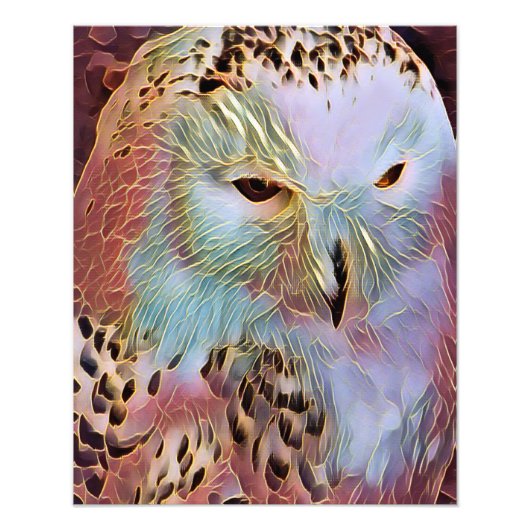 フクロウ フォトプリント            (正面)