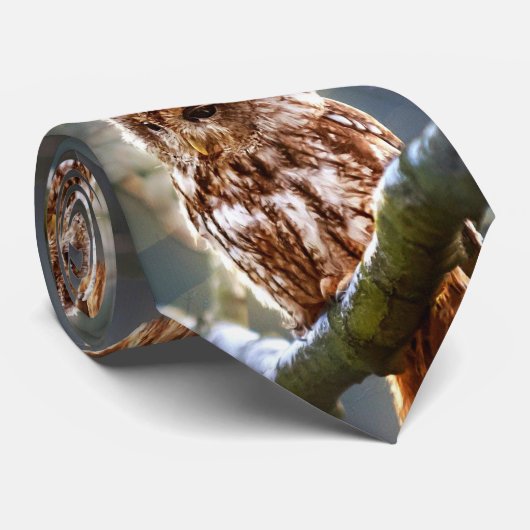 フクロウ・フー ネクタイ (ロール)