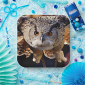 フクロウ ペーパープレート (パーティー)