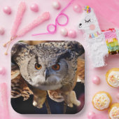 フクロウ ペーパープレート (パーティー)