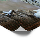 フクロウ ポスター (角)