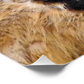 フクロウ ポスター (コーナー)