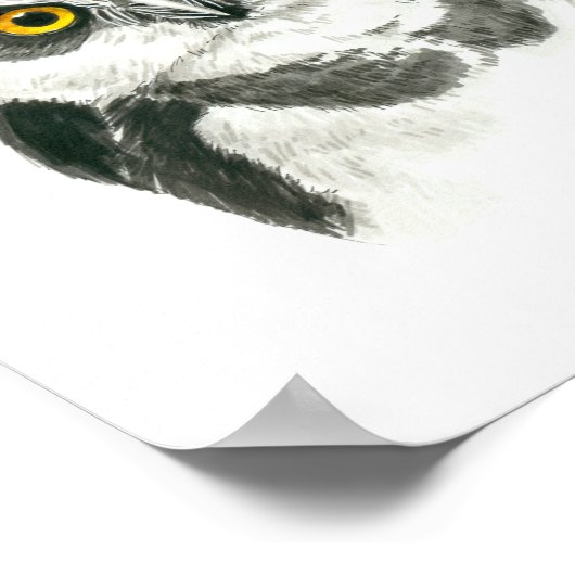 フクロウ ポスター (角)